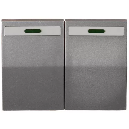 Выключатель СВЕТОЗАР &quot;ЭФФЕКТ&quot; двухклавишный, с эффектом свечения, без вставки и рамки, светло-серый металлик, 10A/~250B SV-54435-SM купить в Кургане