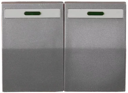 Выключатель СВЕТОЗАР &quot;ЭФФЕКТ&quot; двухклавишный, с эффектом свечения, без вставки и рамки, светло-серый металлик, 10A/~250B SV-54435-SM купить в Кургане