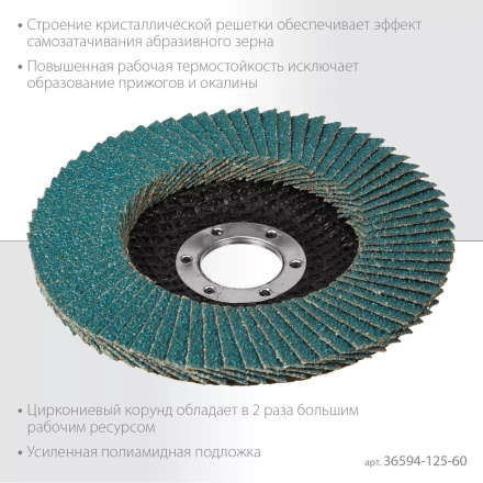 Круги лепестковые циркониевые торцевые 36594-125-60 купить в Кургане