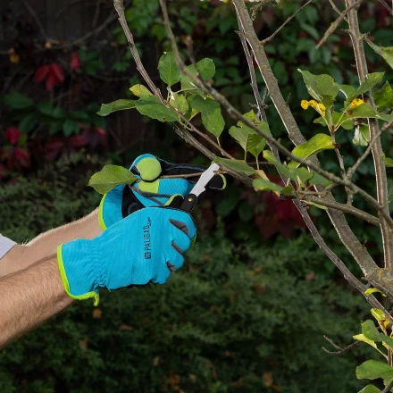 Нож садовый Palisad, 165 мм, складной, окулировочный, пластиковая рукоятка, 790547 купить в Кургане