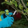 Нож садовый Palisad, 165 мм, складной, окулировочный, пластиковая рукоятка, 790547 купить в Кургане
