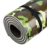 Коврик туристический Camping Palisad 69460, двухслойный, 1800х600х10 мм купить в Кургане