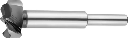 Сверло Форстнера по дереву, URAGAN 29995-25, d=25мм 29995-25 купить в Кургане