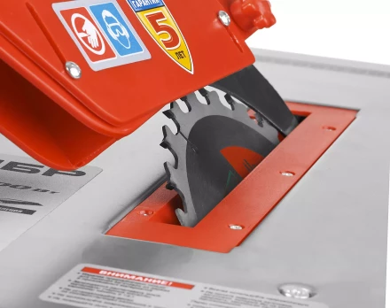 Станок распиловочный ЗПДС-200-800 серия МАСТЕР купить в Кургане