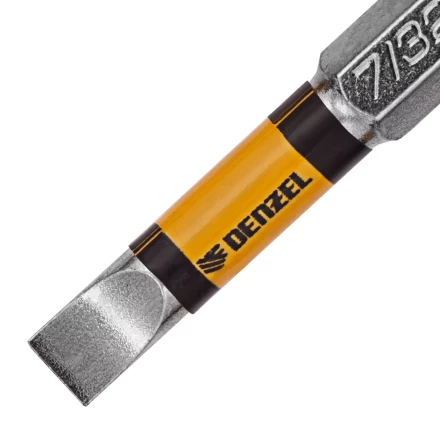 Бита SL5,5x50, 5 шт. Denzel 7711312 купить в Кургане