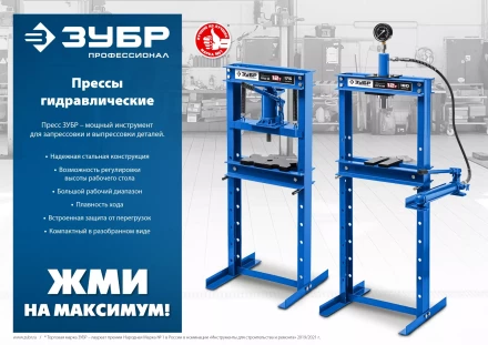 ЗУБР ПГН-10, 10 т, гидравлический пресс с гидронасосом и манометром, Профессионал (43072-10) купить в Кургане