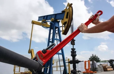 Прямой трубный ключ для тяжелых работ 48  31040 купить в Кургане