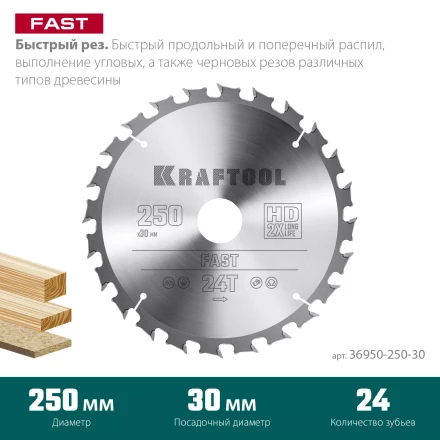 Диск пильный FAST, повышенный ресурс 36950-250-30 купить в Кургане