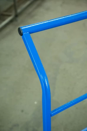 Тележка платформенная TOR ТП-2 (600х900) г/п 300 кг (125 мм) 1005794 купить в Кургане