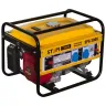 Бензиновый генератор STEM Techno SPG 3000 купить в Кургане