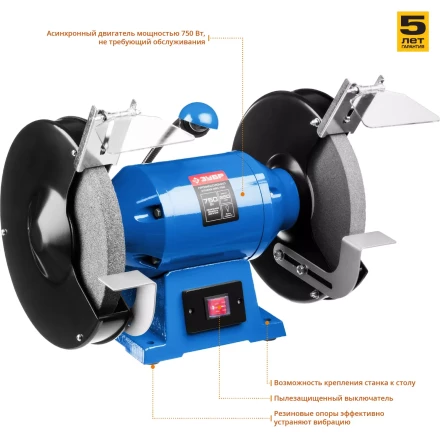 Точило с фонарем ЗТШМЭ-250-750 серия ПРОФЕССИОНАЛ купить в Кургане