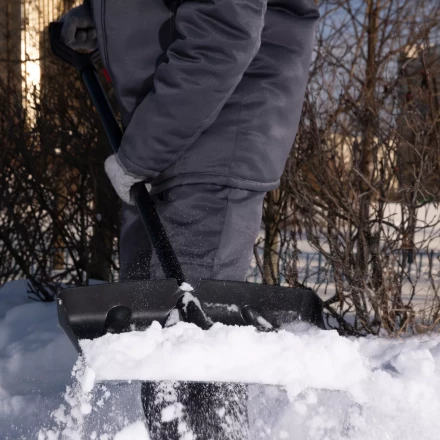 Лопата для уборки снега пластиковая, 450х325х1370 мм, стальной черенок, Palisad 61660 купить в Кургане