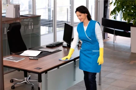 Средство для чистки поверхностей CA 30 C 1 л KARCHER купить в Кургане