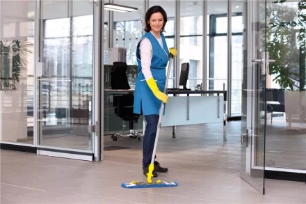 Средство для чистки поверхностей CA 30 C 1 л KARCHER купить в Кургане