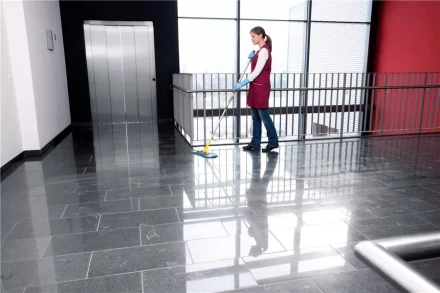 Средство для чистки поверхностей CA 30 C 1 л KARCHER купить в Кургане