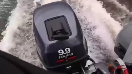 Лодочный мотор SEA-PRO OTH 9,9S купить в Кургане