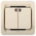 Выключатель СВЕТОЗАР &quot;ГАММА&quot; двухклавишный, с подсветкой, цвет бежевый, 10А/~250В SV-54135-B купить в Кургане