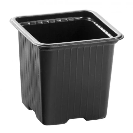 Горшочек для рассады 70 х 70 х 65 ммполистирол 5 шт 64344 купить в Кургане