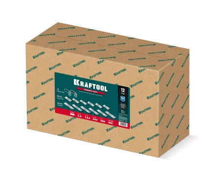 Набор нежавеющих гребенок 33268-H12 купить в Кургане