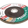 Круг Лепестковый Торцевой (КЛТ) HAMMER КЛТ 1 Ф180х22 Р60 213-031 купить в Кургане