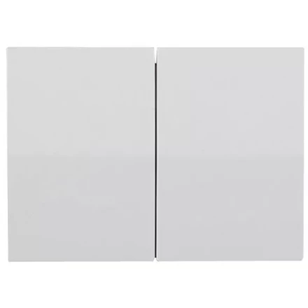 Выключатель СВЕТОЗАР &quot;ЭФФЕКТ&quot; двухклавишный, без вставки и рамки, цвет светло-серый металлик, 10A/~250B SV-54434-SM купить в Кургане