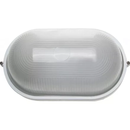 Светильник уличный СВЕТОЗАР влагозащищенный, овал, цвет белый, 100Вт SV-57203-W купить в Кургане